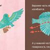 Малыш любит науку. Аэрокосмонавтика