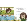 Ёжик и солнечное лето