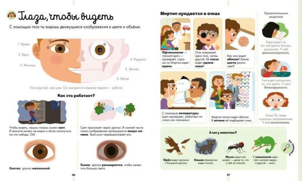Большая энциклопедия. Тело человека